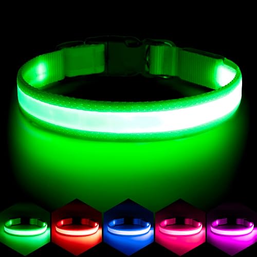 LED Dog Collar