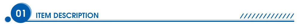 Women's High Waist Padded Bike Shorts