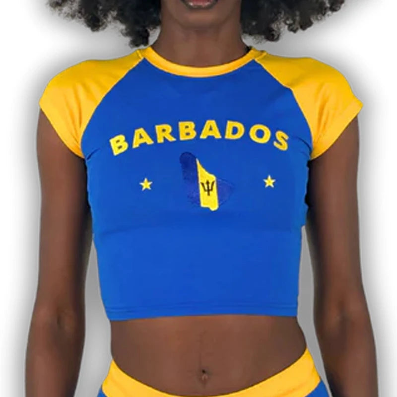 Graphic Embroidery Crop Top
