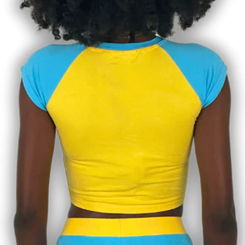Graphic Embroidery Crop Top