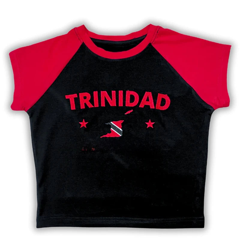 Graphic Embroidery Crop Top
