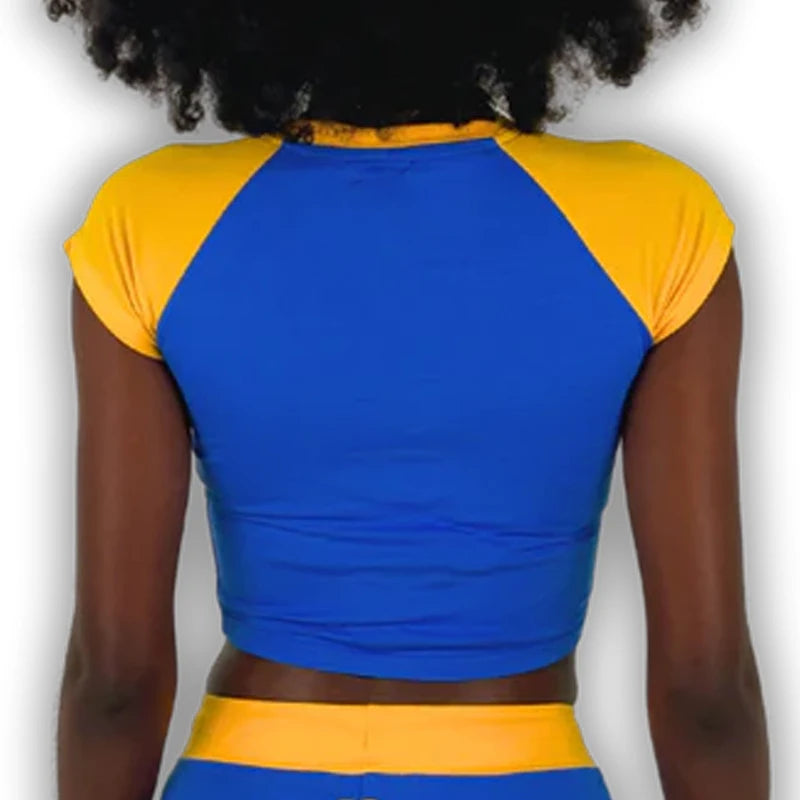 Graphic Embroidery Crop Top