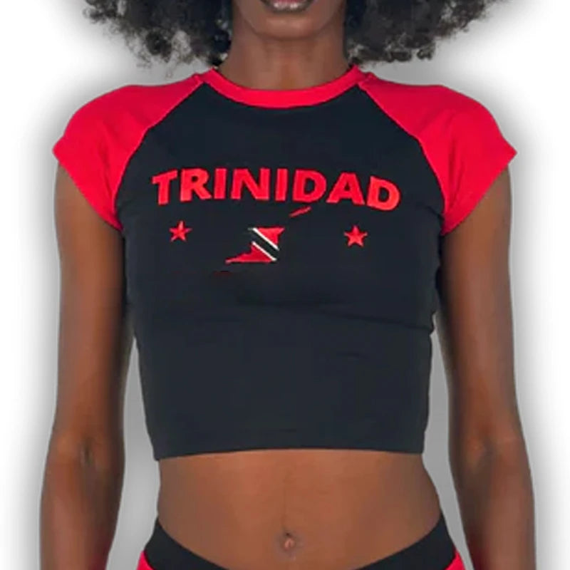 Graphic Embroidery Crop Top